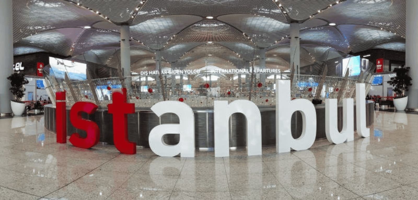 Vienna chauffeur service